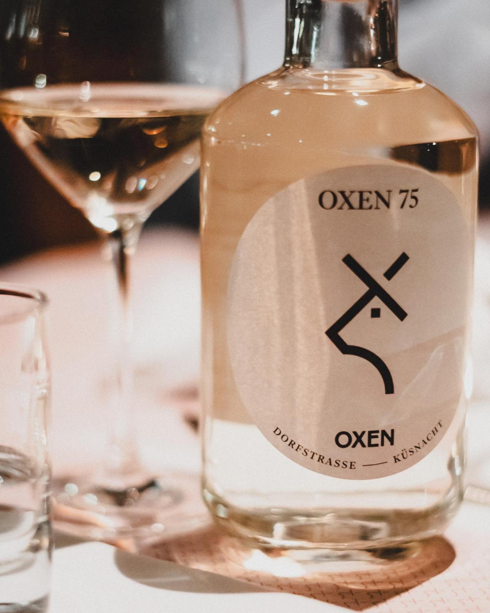 Gasthof Oxen キュスナハト エクステリア 写真